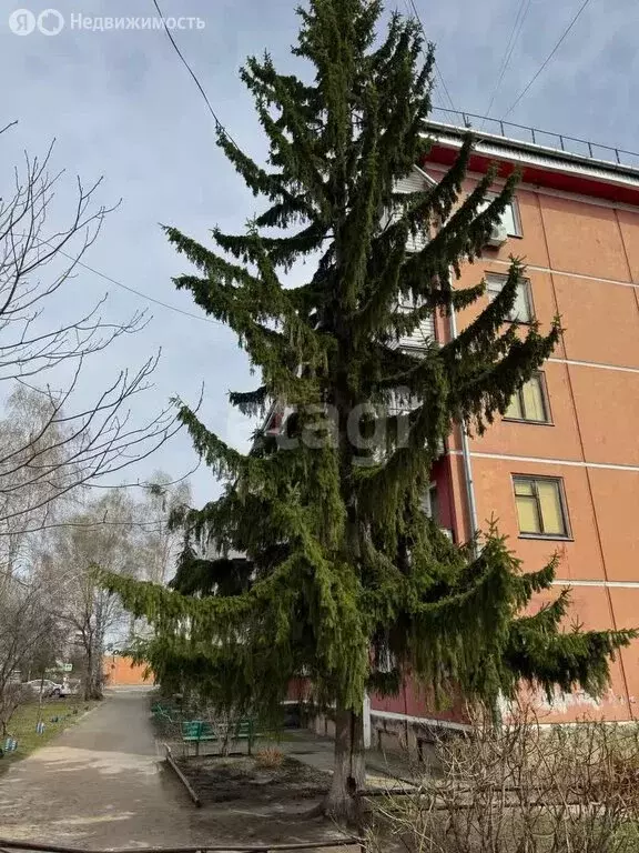 3-комнатная квартира: Белокуриха, улица Академика Мясникова, 16 (58.5 ... - Фото 1