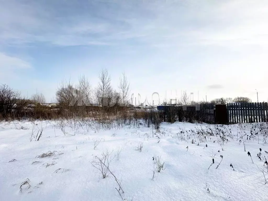 Участок в Новосибирская область, Новосибирский район, с. Криводановка, ... - Фото 1