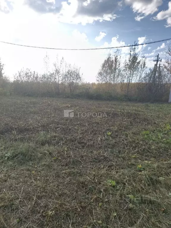 Участок в Новосибирская область, Новосибирский район, Кудряшовский ... - Фото 1