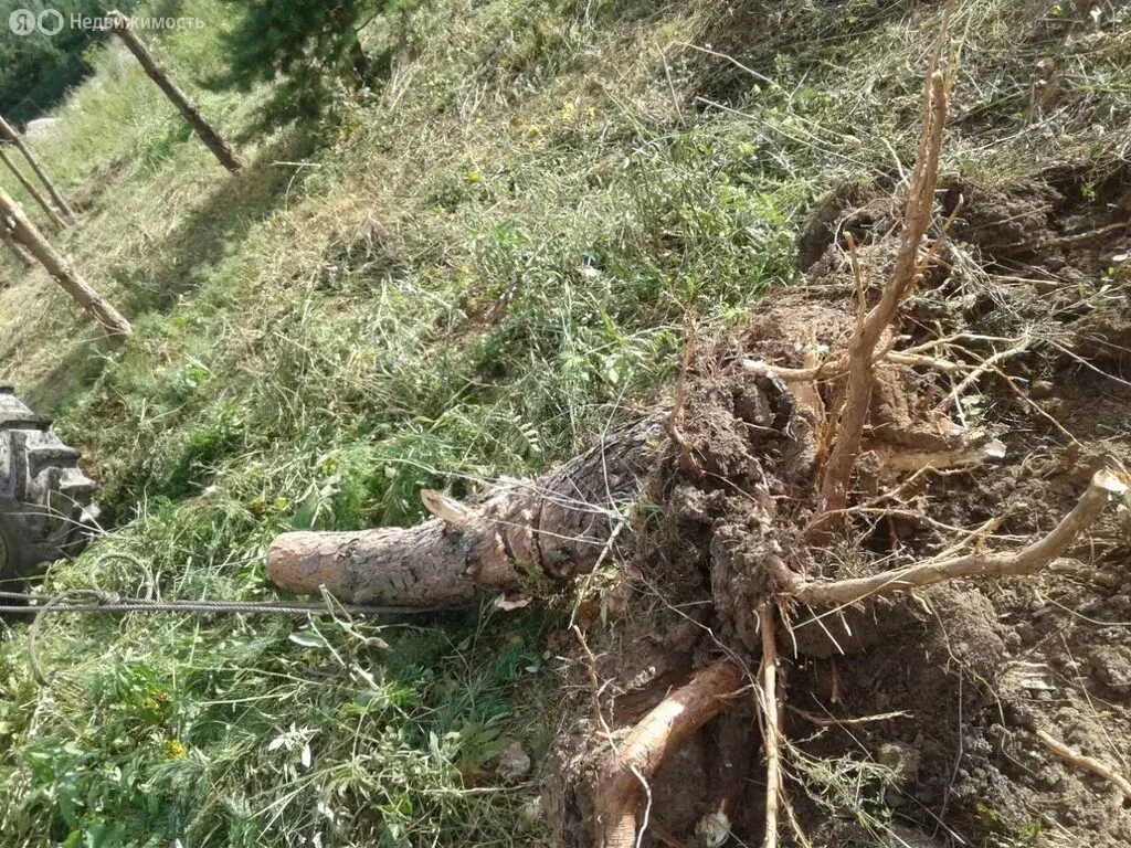 Участок в Калужская область, Тарусский муниципальный округ, сельское ... - Фото 1