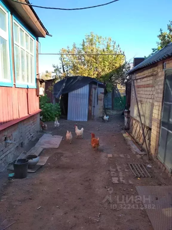 Дом в Оренбургская область, Бузулук ул. Куйбышева, 31 (90 м) - Фото 2