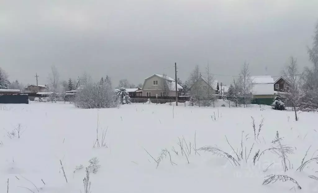 Участок в Московская область, Дмитровский муниципальный округ, д. ... - Фото 1