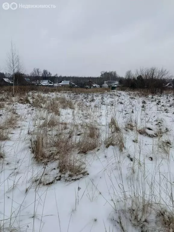 Участок в округ Муром, деревня Иваньково (14 м) - Фото 0