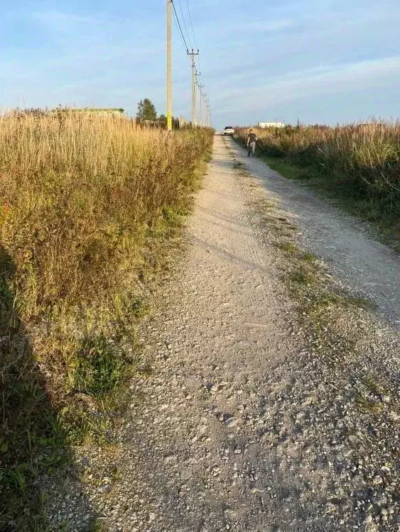 Участок в Калининградская область, Янтарный городской округ, пос. ... - Фото 1