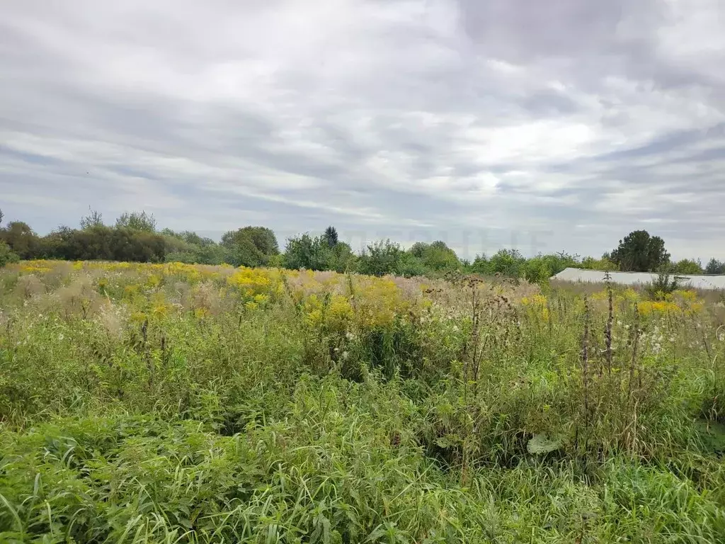 Участок в Новгородская область, Новгородский район, Бронницкое с/пос, ... - Фото 2