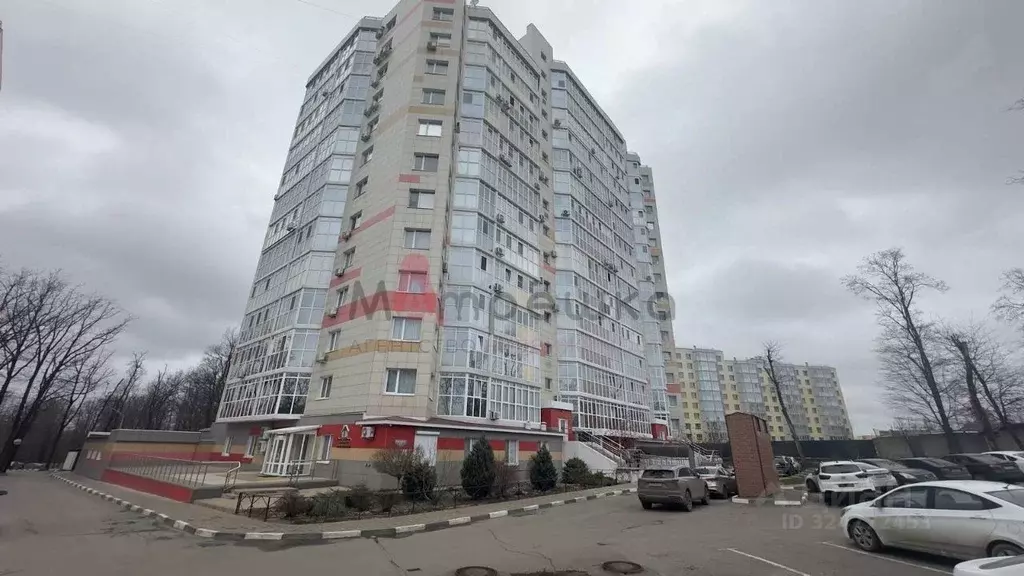 Студия Белгородская область, Белгород ул. Горького, 54Б (45.0 м) - Фото 2