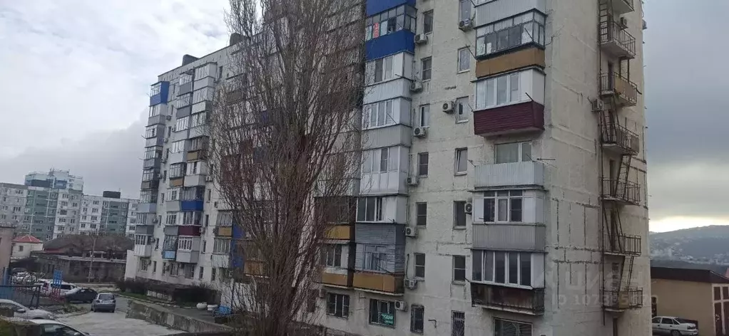 1-к кв. Краснодарский край, Новороссийск Мефодиевская ул., 118 (22.3 ... - Фото 1