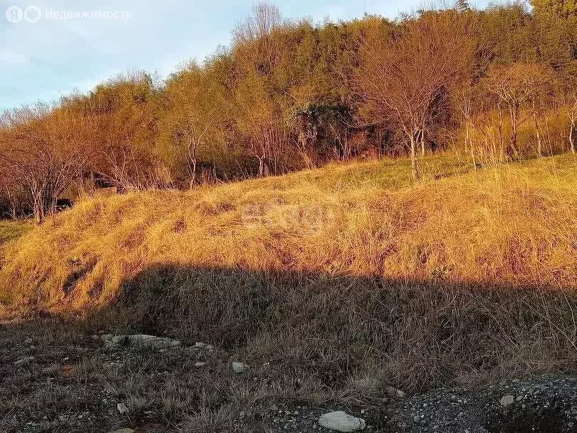 Участок в Краснодарский край, городской округ Сочи, село Липники, ... - Фото 0