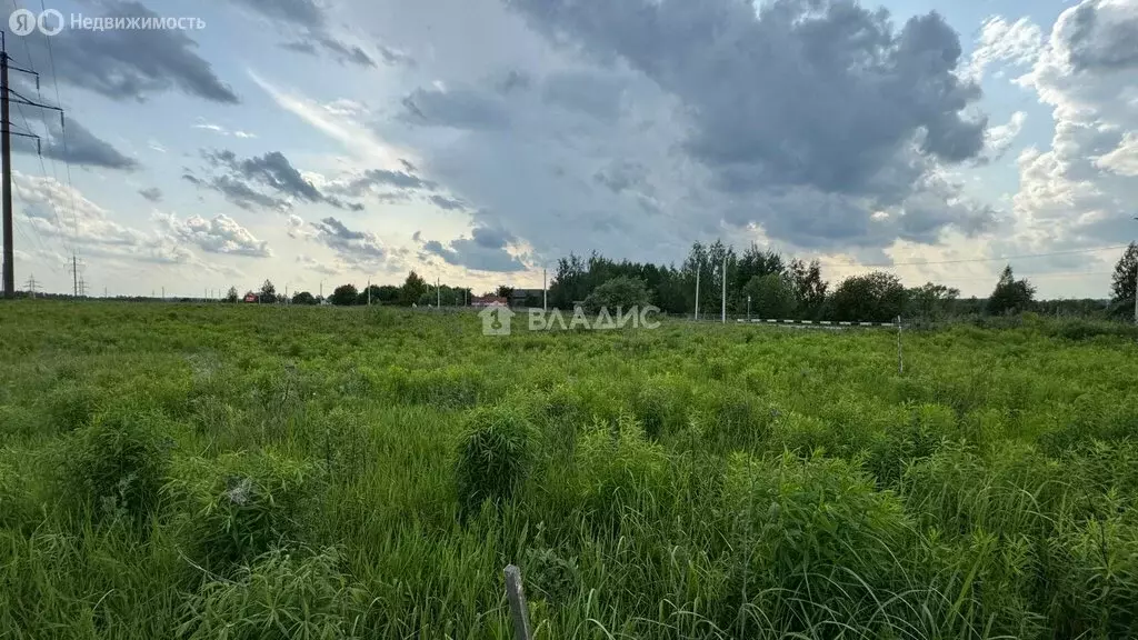Участок в Брянский район, Добрунское сельское поселение, деревня ... - Фото 1