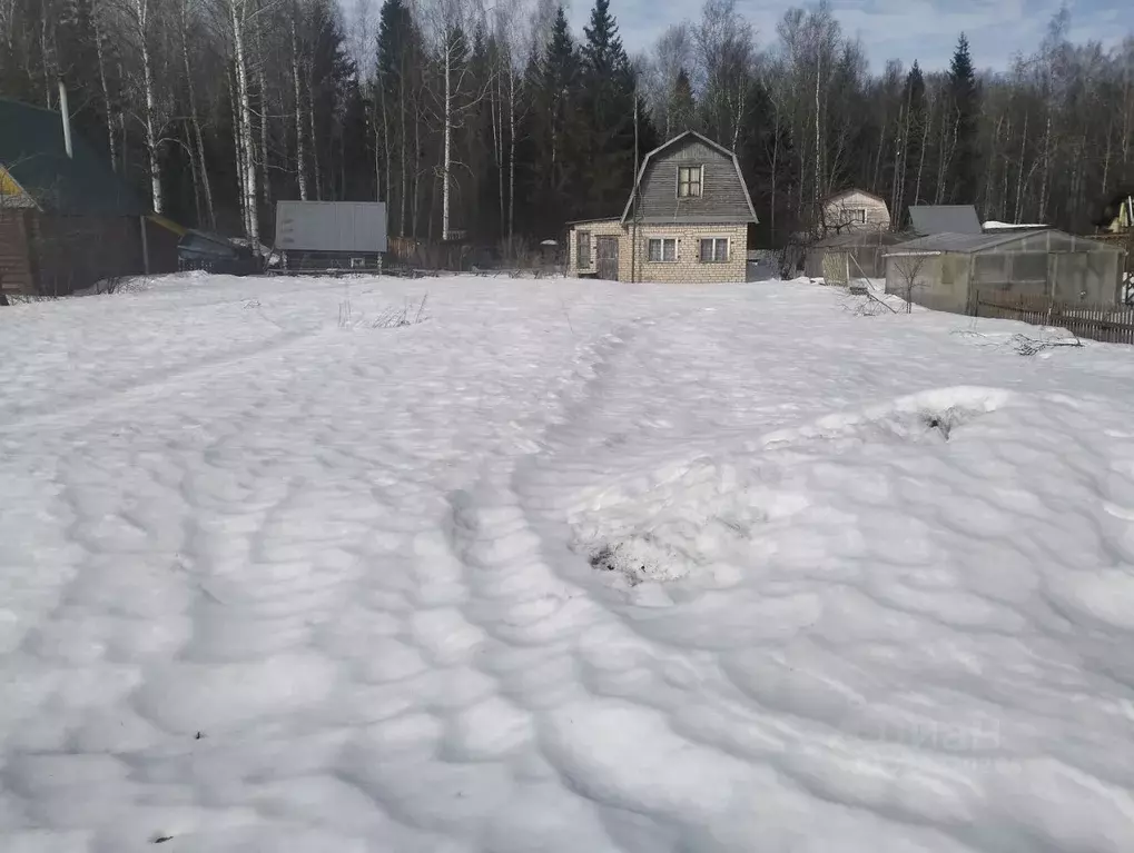 Участок в Пермский край, Пермь № 71 СНТ, 95 (5.4 сот.) - Фото 1