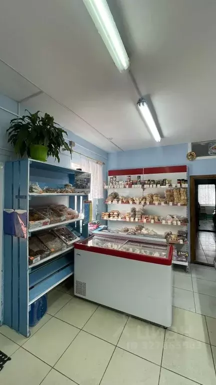 Торговая площадь в Калужская область, Жуковский муниципальный округ, ... - Фото 2