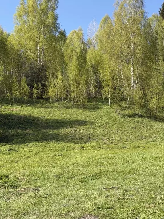 Дом в Кемеровская область, Таштагол ул. Розы Люксембург, 38А (53 м) - Фото 2