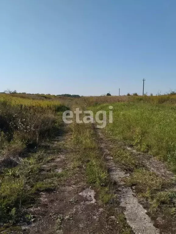 Участок в Калининградская область, Зеленоградский муниципальный округ, ... - Фото 0