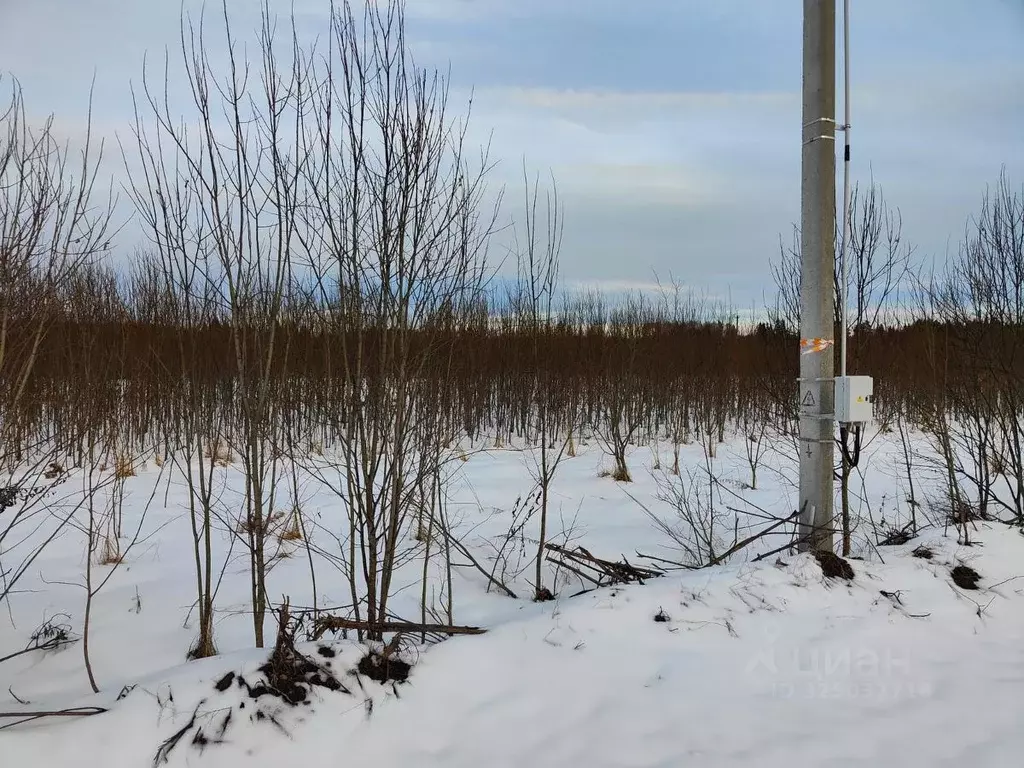 Участок в Московская область, Рузский муниципальный округ, д. Леньково ... - Фото 1