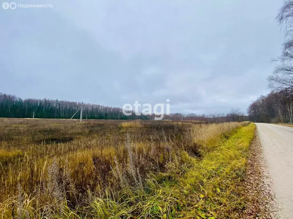 Участок в Владимирская область, муниципальное образование Петушинское, ... - Фото 0