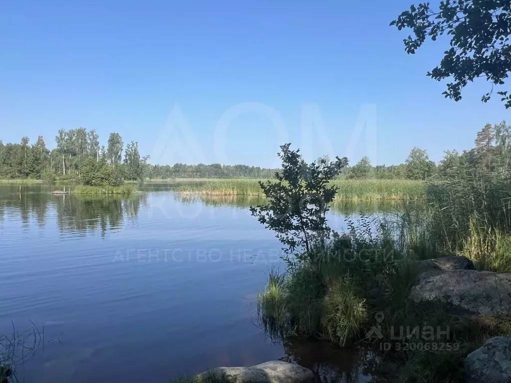 Участок в Ленинградская область, Приозерский район, Ларионовское ... - Фото 1