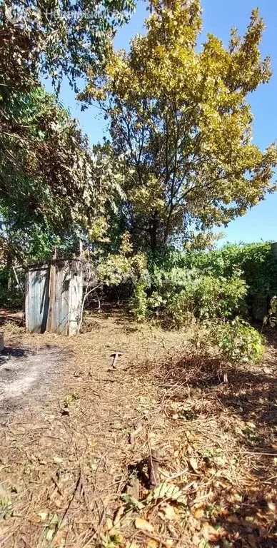 Участок в Майкоп, улица Хакурате, 268 (5.37 м) - Фото 2