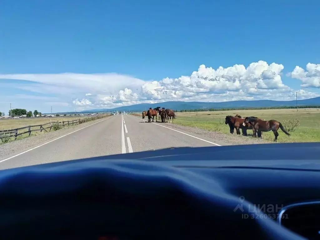 Участок в Бурятия, Кабанский район, с. Кабанск  (30.0 сот.) - Фото 1