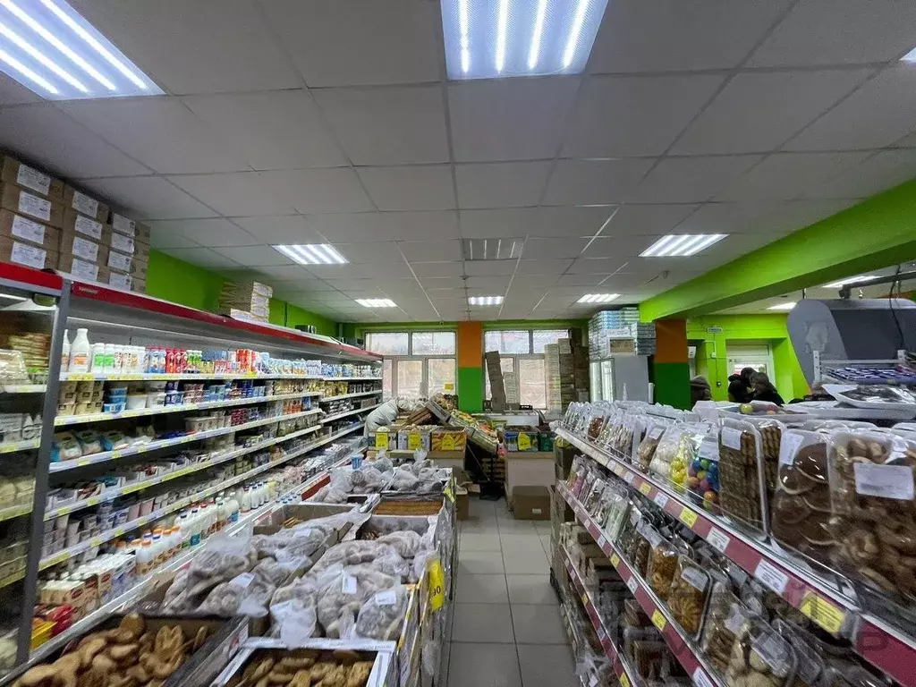 Торговая площадь в Пензенская область, Пенза Колхозная ул., 120 (259 ... - Фото 2