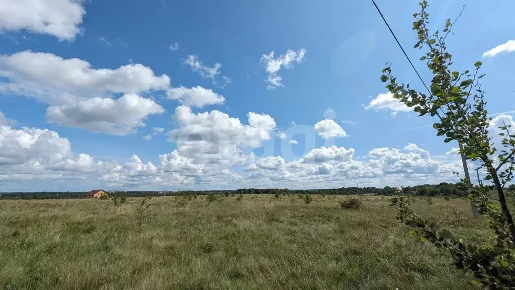 участок в смоленская область, смоленский муниципальный округ, . - Фото 0