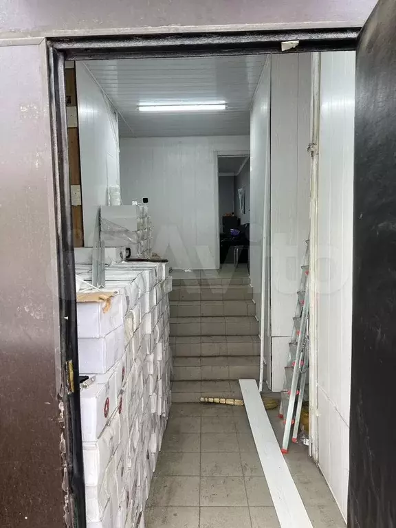 Помещение свободного назначения 114.2 кв.м - Фото 0
