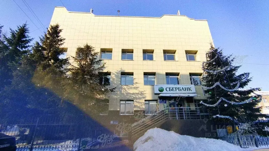 Офис в Еврейская автономная область, Биробиджан ул. Шолом-Алейхема, 16 ... - Фото 1