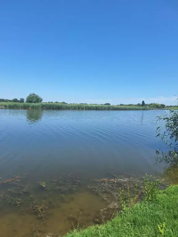 Участок в Краснодарский край, Усть-Лабинский район, Александровское ... - Фото 1