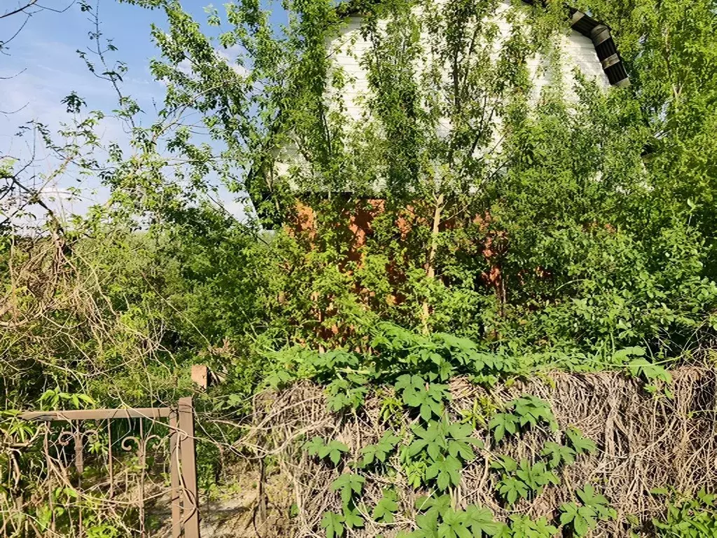 Участок в Московская область, Мытищи городской округ, д. Малое ... - Фото 1