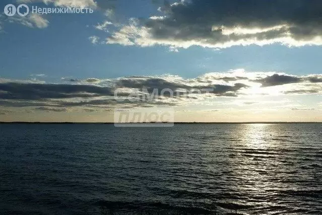 Участок в Нижегородская область, Городецкий муниципальный округ, ... - Фото 2