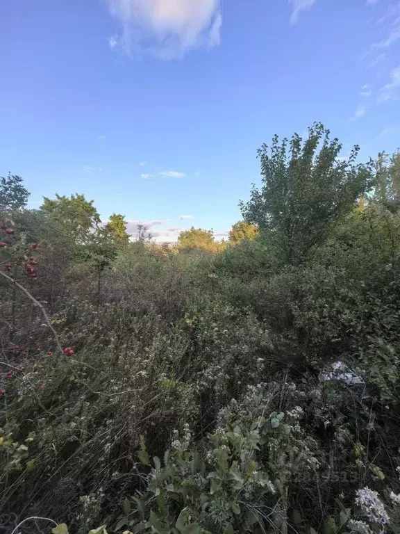 Участок в Ростовская область, Аксайский район, Щепкинское с/пос, ... - Фото 2