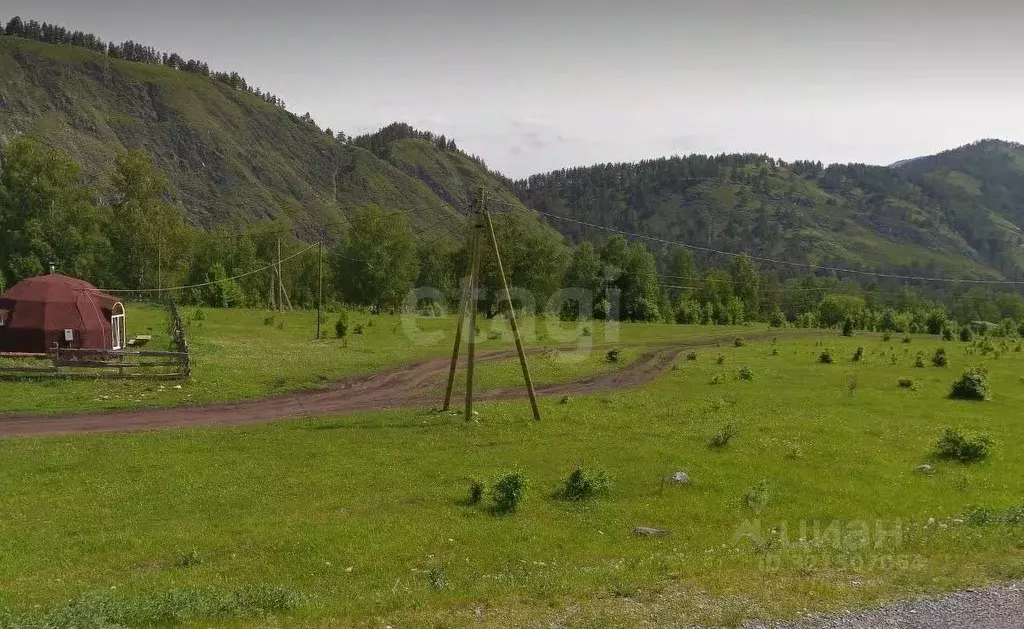 Участок в Алтай, Чемальский район, с. Анос  (24.5 сот.) - Фото 1