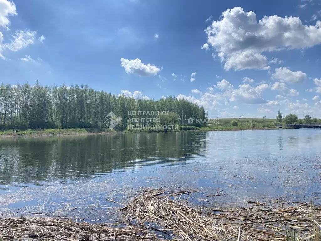 Участок в Рязанская область, Пронский муниципальный округ, Аграрий ... - Фото 1