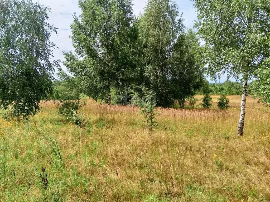 Участок в Псковская область, Пушкиногорье городское поселение, д. ... - Фото 1