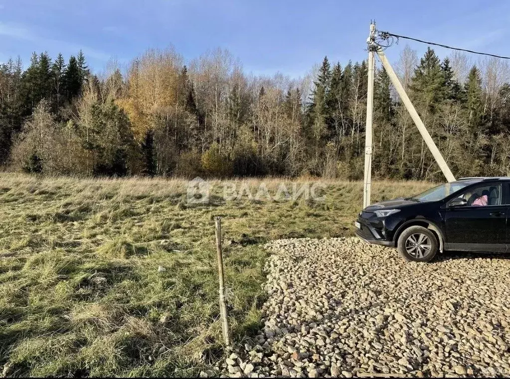 Участок в Ленинградская область, Тосненский район, Форносовское ... - Фото 2
