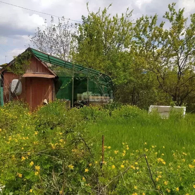 Участок в Воронежская область, Воронеж Придонье СНТ, 270 (3.0 сот.) - Фото 1