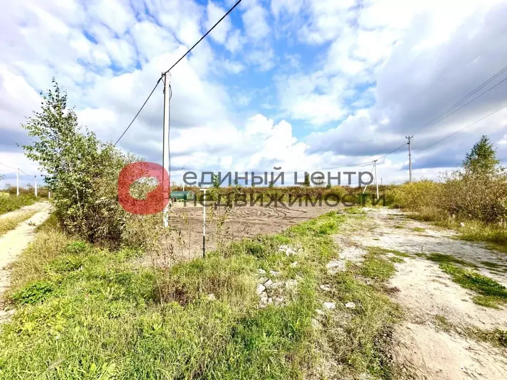 Участок в Тюменская область, Тюменский муниципальный округ, с. ... - Фото 2