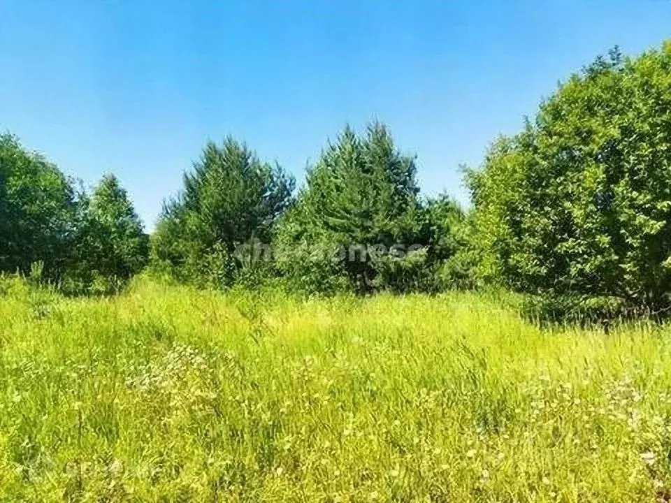 Участок в Севастополь СТ Дружба ТСН, 57 (5.0 сот.) - Фото 1