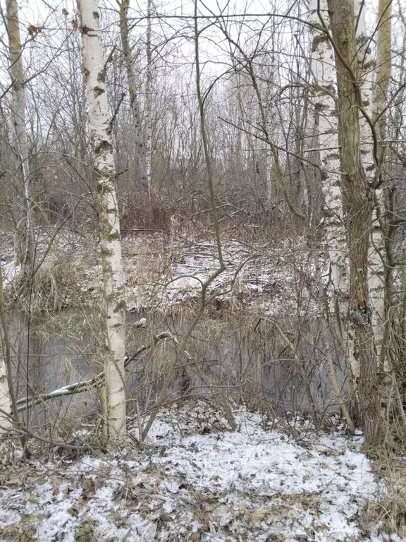 Участок в Московская область, Орехово-Зуевский городской округ, д. ... - Фото 0