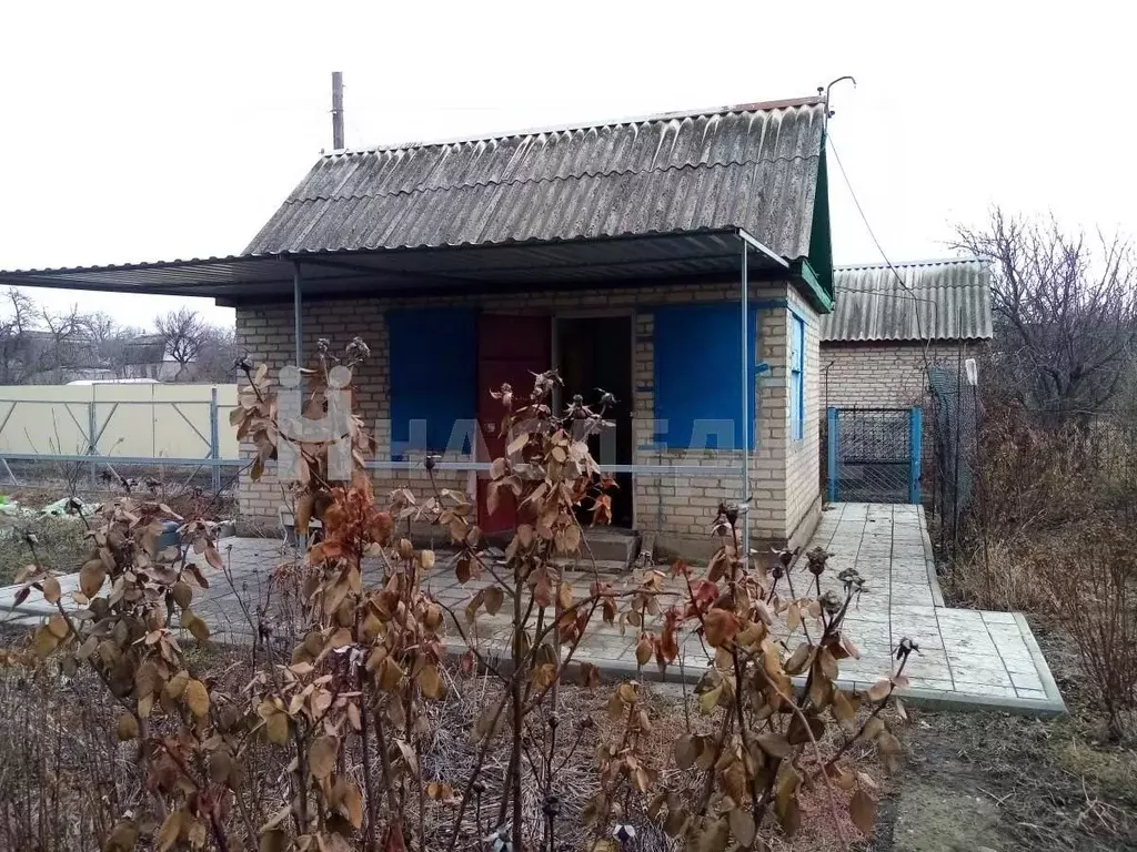 Купить Дачу В Белой Калитве Свежие Объявления