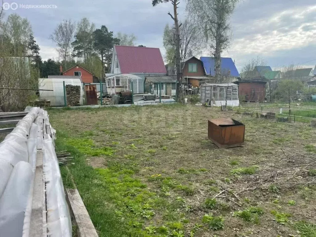 Участок в Бердск, некоммерческое общество садоводов Мичуринец, Боровая ... - Фото 0