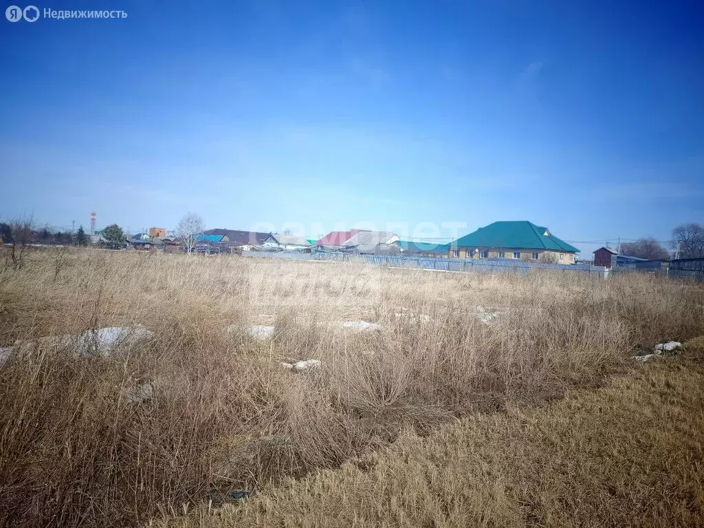 Участок в Тюменская область, Заводоуковский муниципальный округ, ... - Фото 0