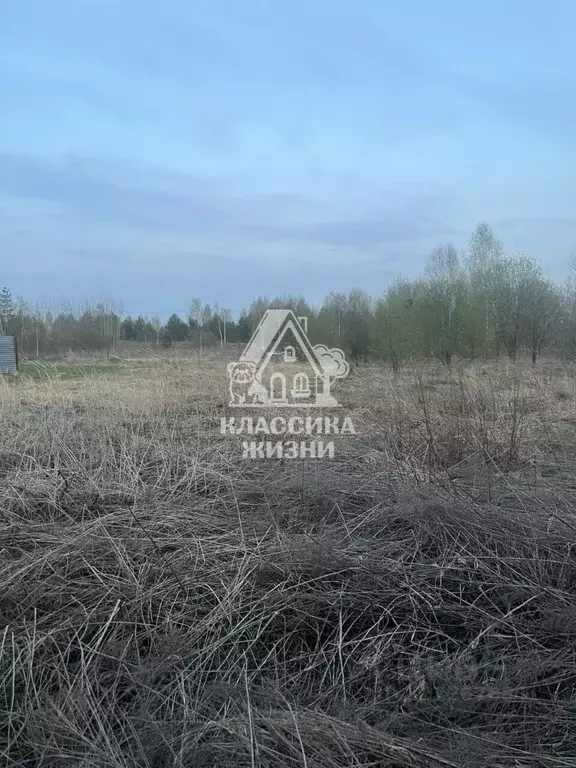 Участок в Нижегородская область, Бор муниципальный округ, д. Ильинское ... - Фото 2