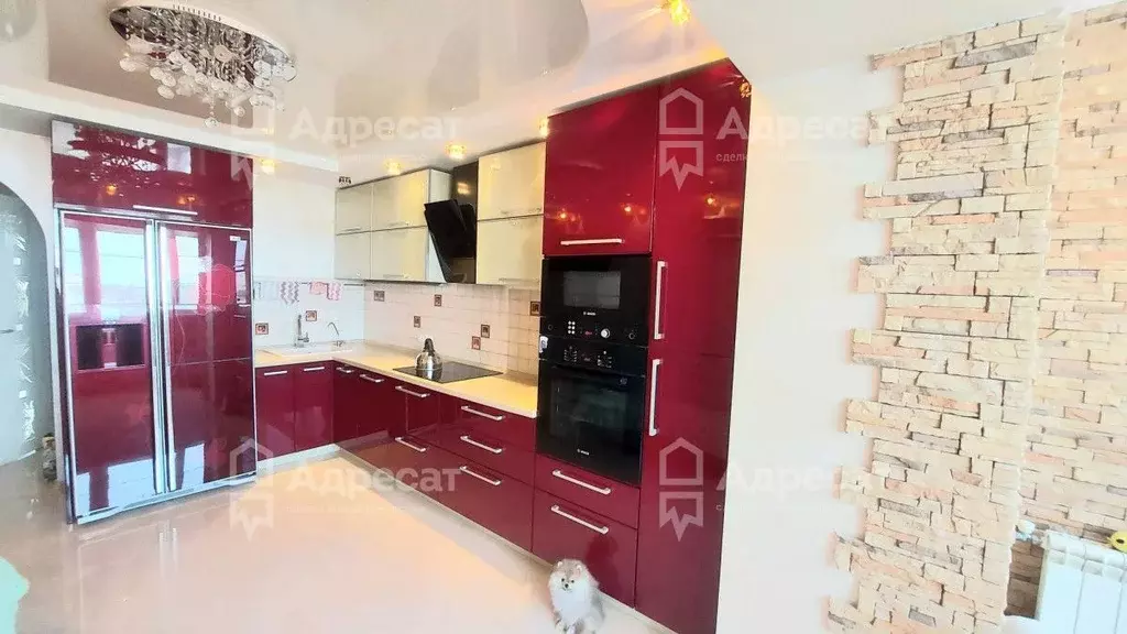 1-к кв. Волгоградская область, Волгоград ул. Маршала Еременко, 42 ... - Фото 1