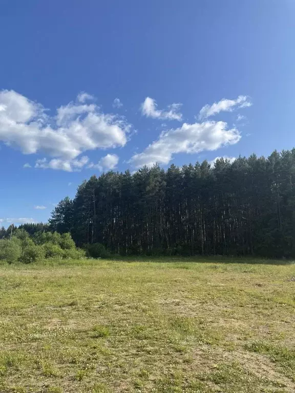 Участок в Ярославская область, Гаврилов-Ям ул. Локалова (12.32 сот.) - Фото 1