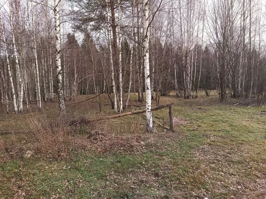 Участок в Московская область, Орехово-Зуевский городской округ, пос. ... - Фото 1