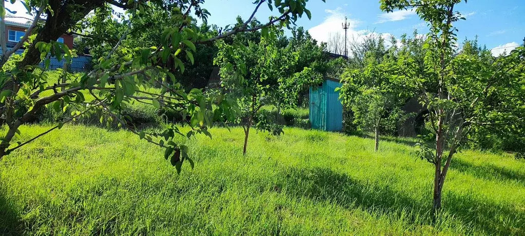 Участок 6 га (ИЖС) - Фото 0