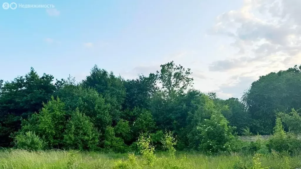 Участок в Калининград (6 м) - Фото 2