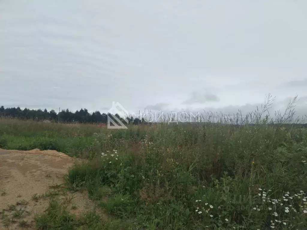 Участок в Сахалинская область, Анивский городской округ, с. Мицулевка  ... - Фото 0