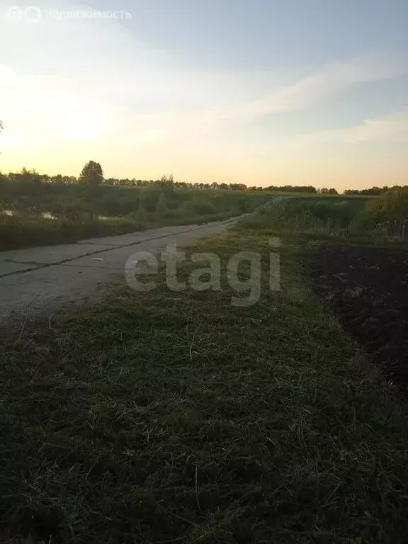 Участок в Рузаевский район, посёлок Совхоз № 3 ДОРУРС (1615 м) - Фото 1