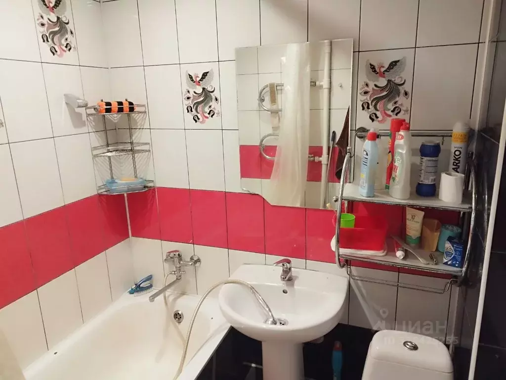 1-к кв. Омская область, Омск ул. Красный Путь, 30 (29.0 м) - Фото 1